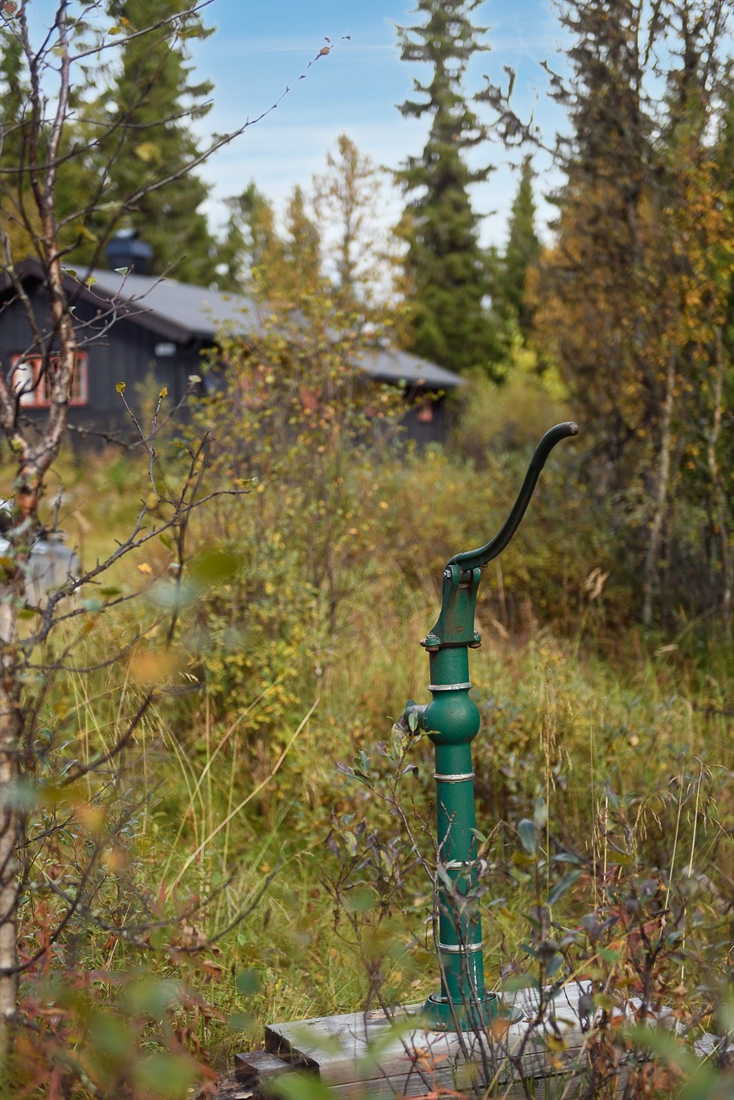 Vannpost rett ved hytta Galleribilde