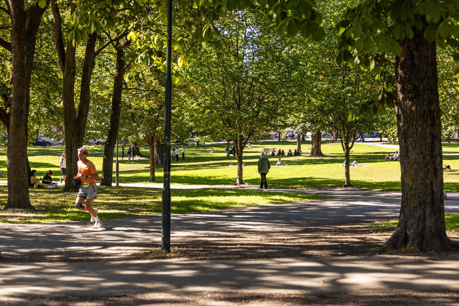 Sofienbergparken ligger kun et par minutters gange unna. Galleribilde