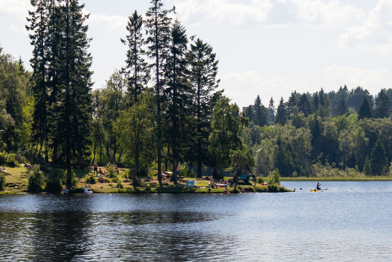 På sommeren kan man spasere opp til Theisendammen. Galleribilde
