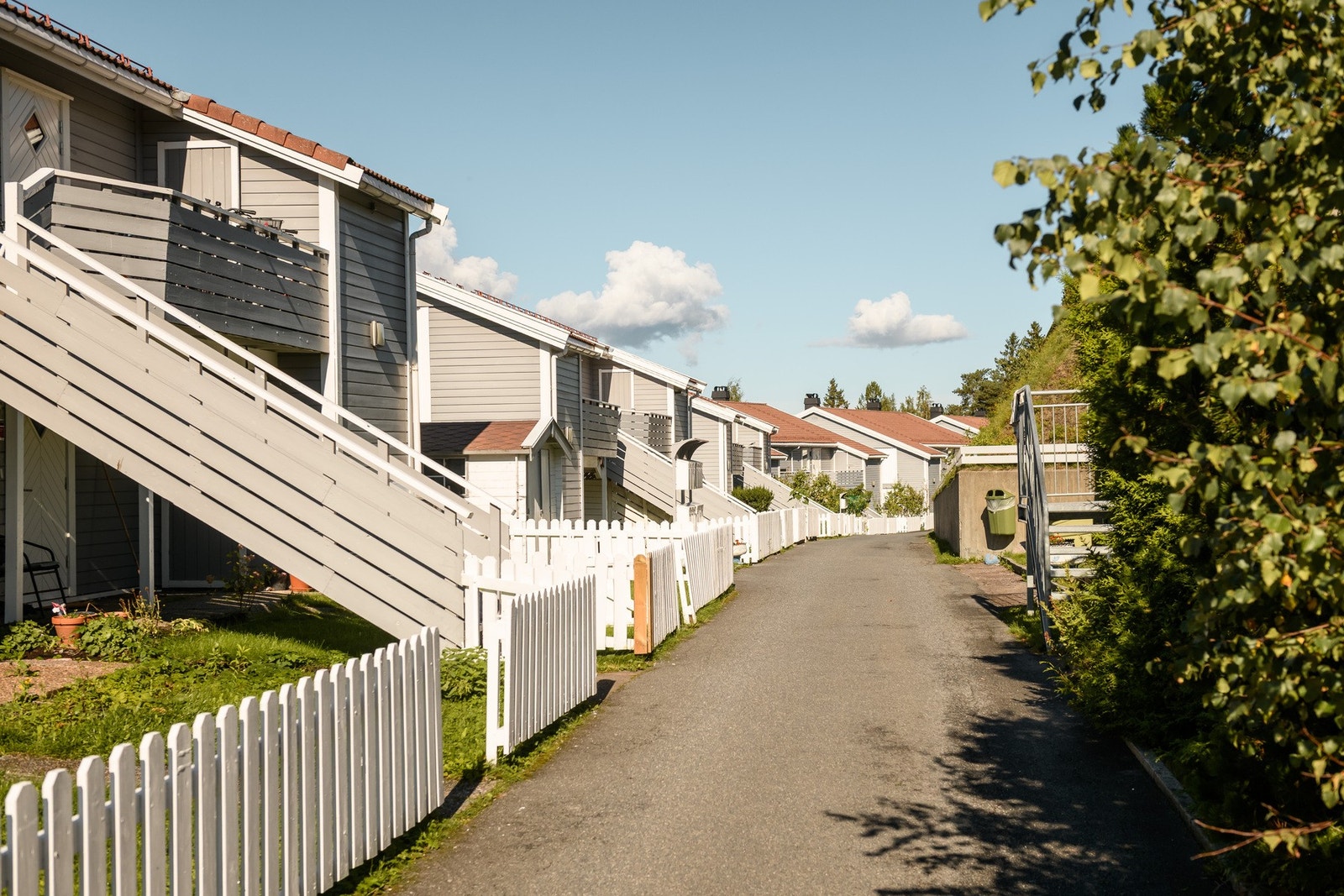 Koselig sameie Galleribilde