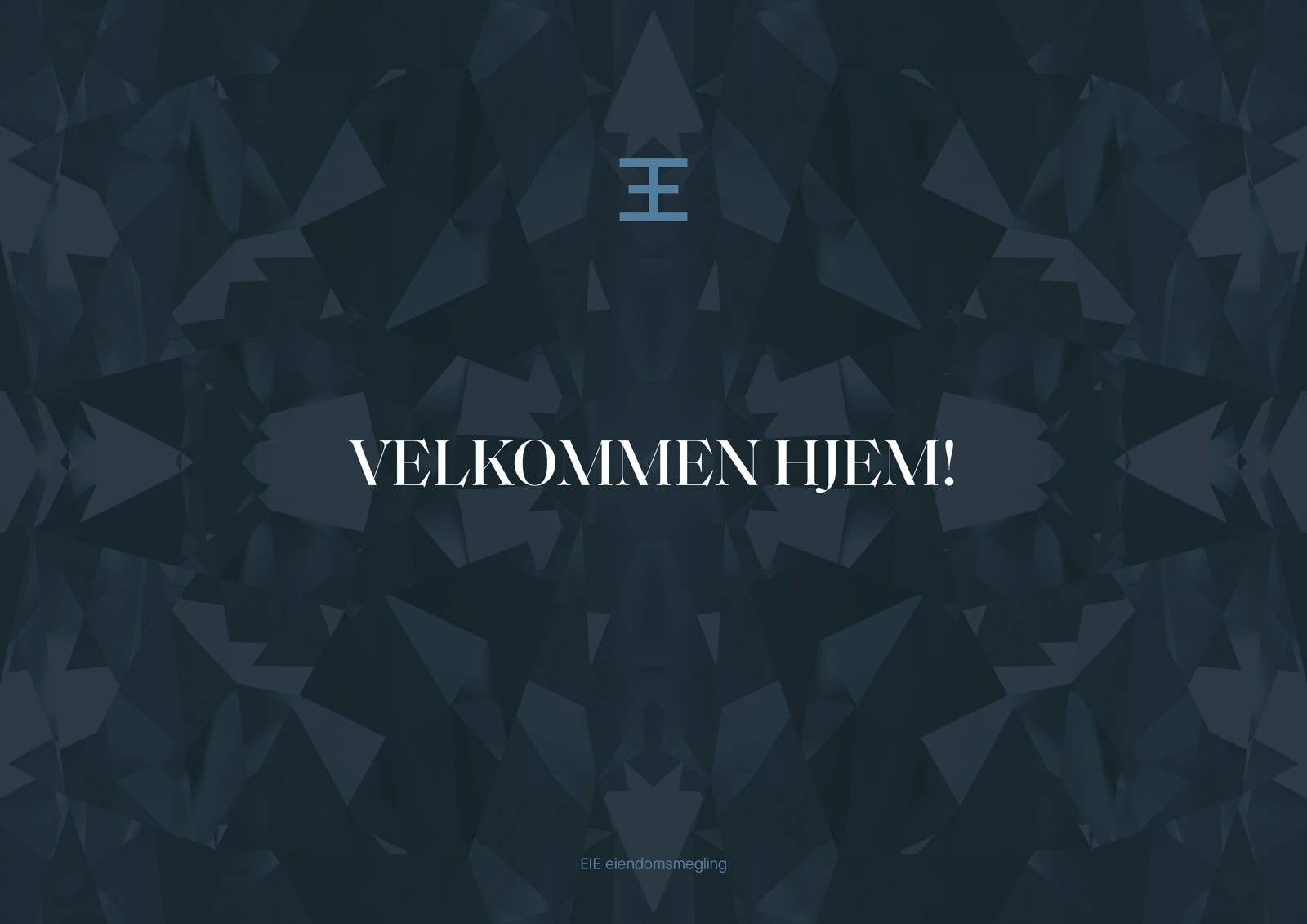 Velkommen hjem til din nye bolig! Galleribilde