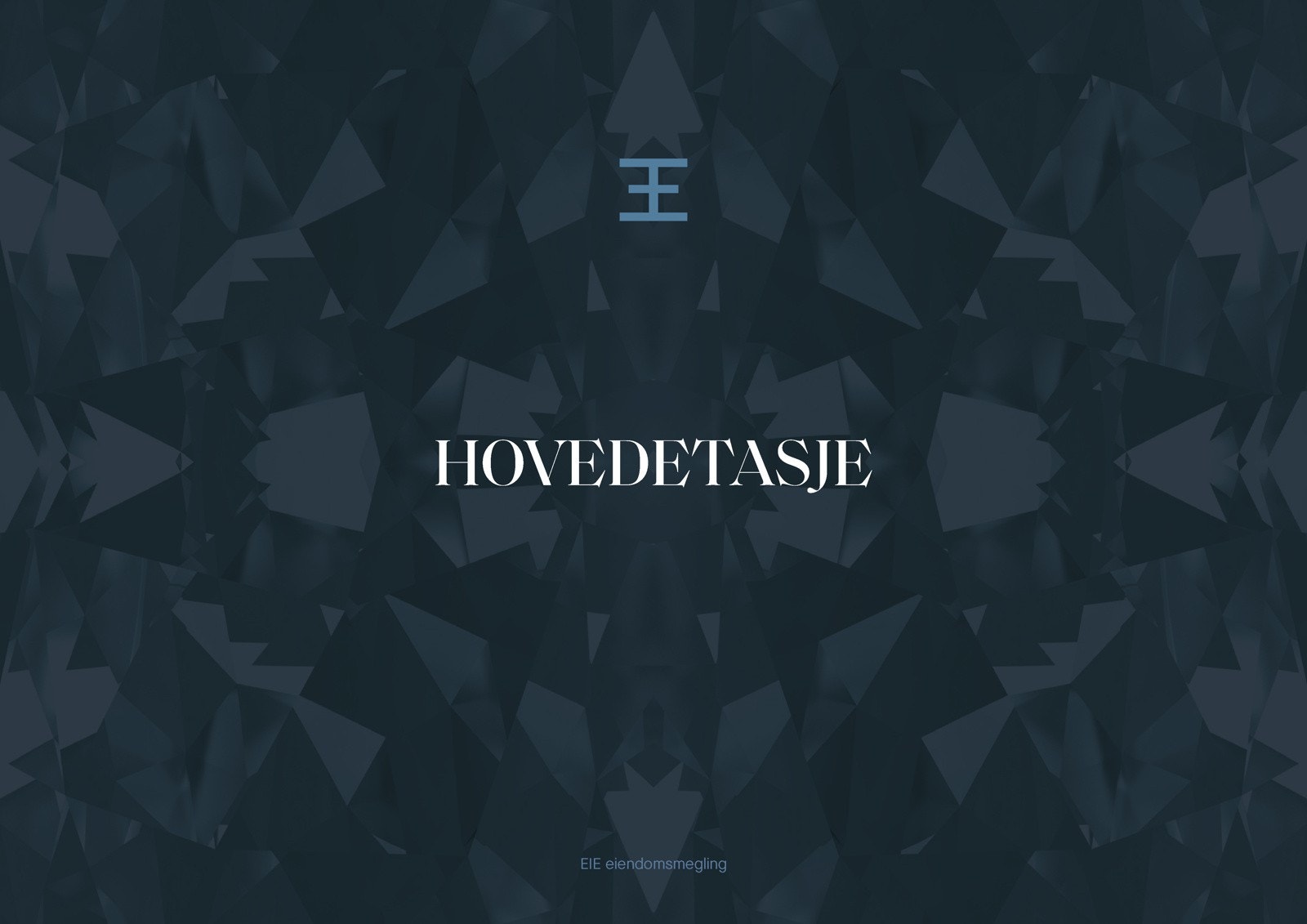 Hovedetasje Galleribilde