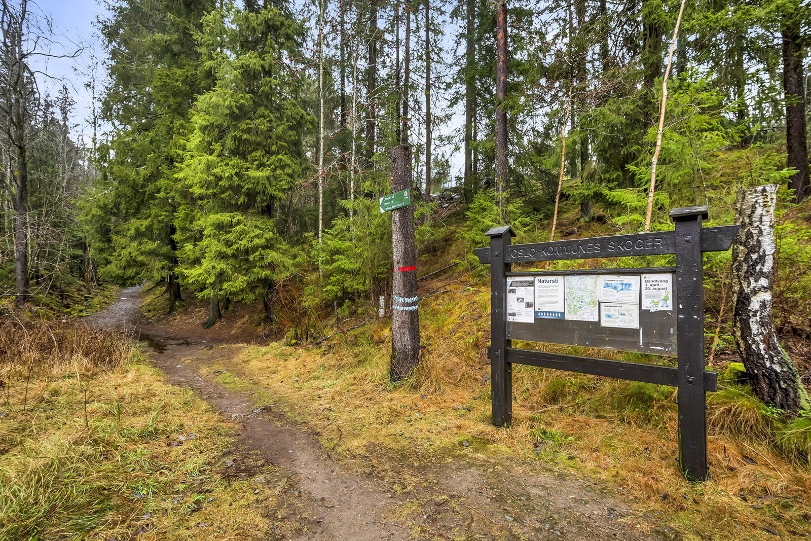 Området er kjent for sine flotte turløyper og lysløyper, både på sommer- og vinterstid. Galleribilde