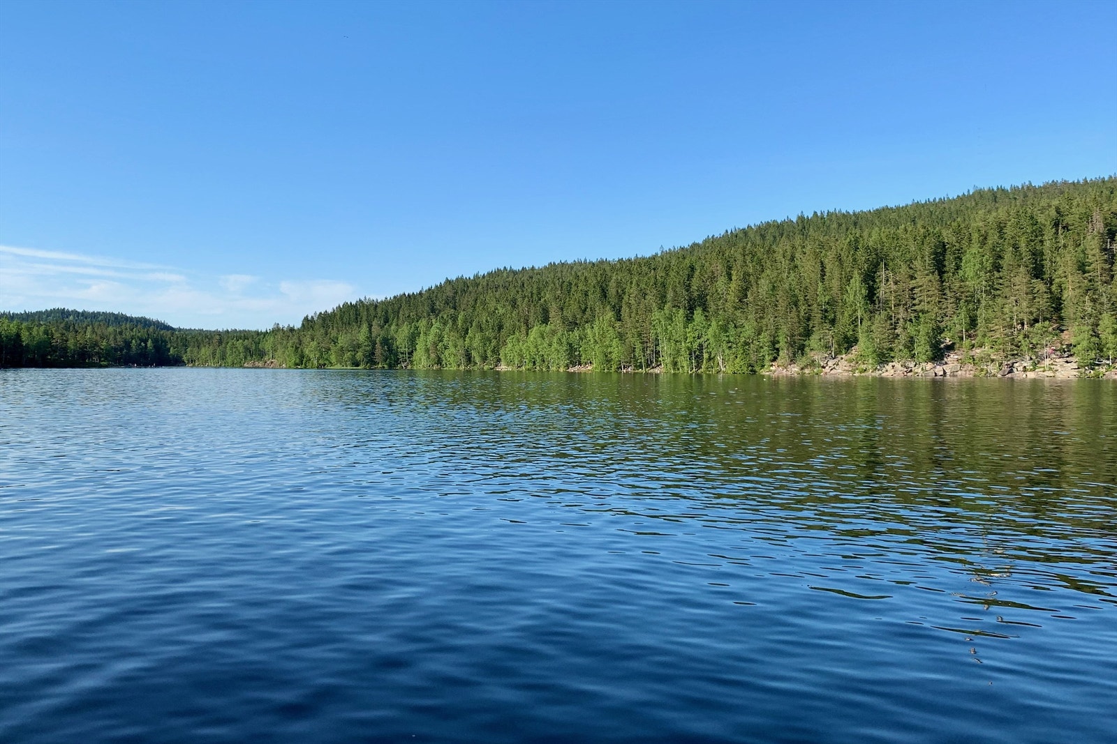 I Lillomarka finner du idylliske Steinbruvann med badevann. Galleribilde
