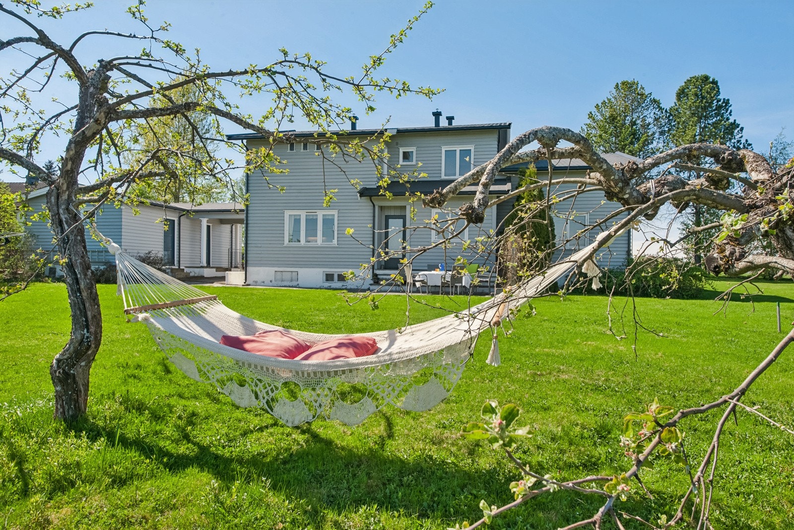 Velkommen til Kongsvegen 65! Galleribilde