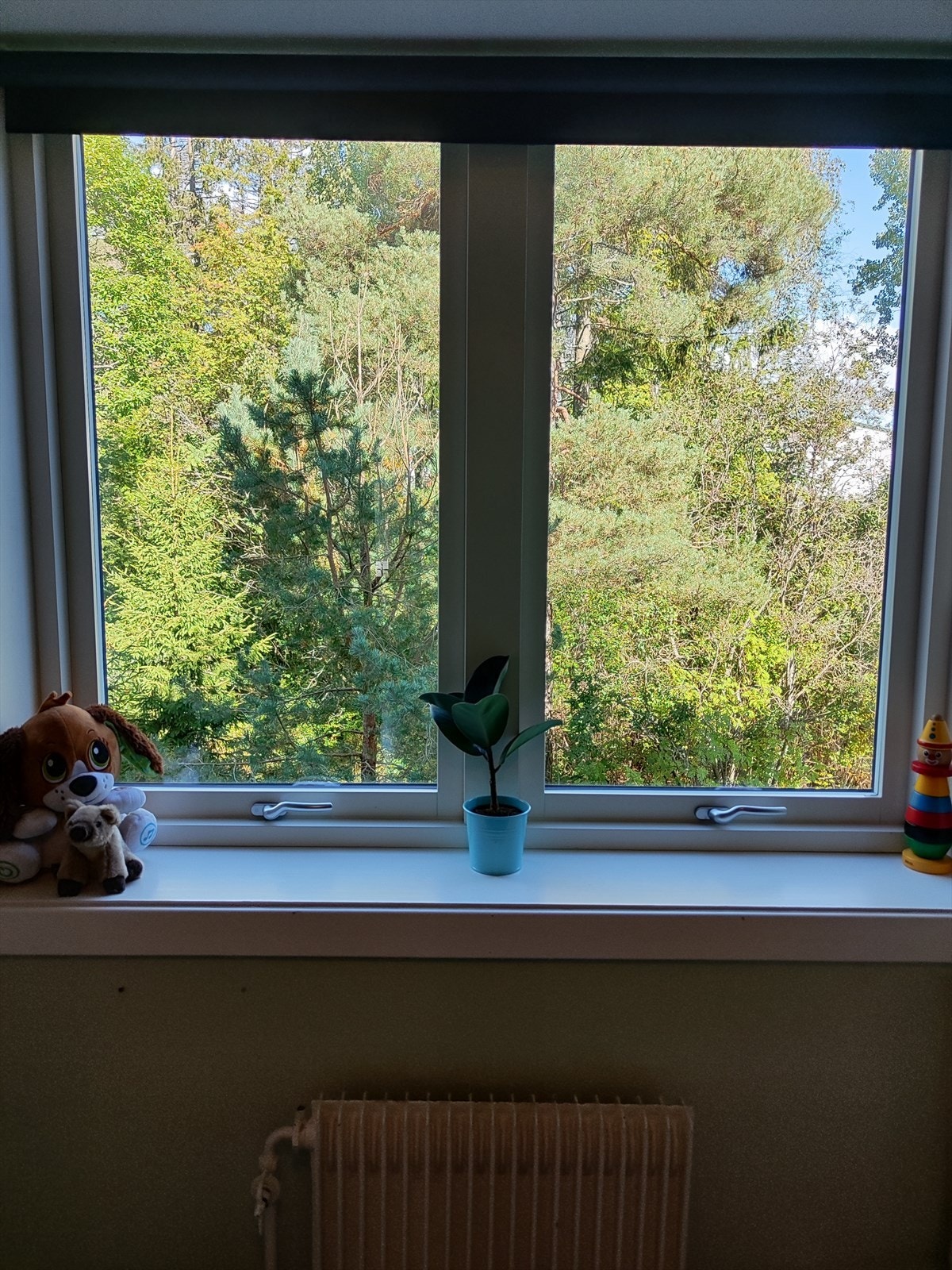 Koselige omgivelser. Galleribilde