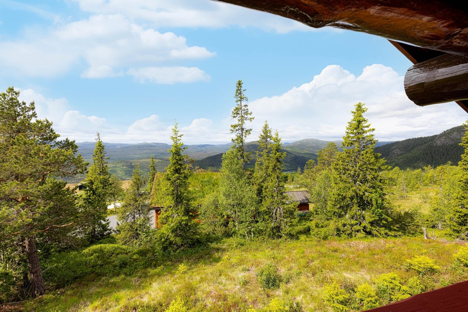 Vakker utsikt! Galleribilde