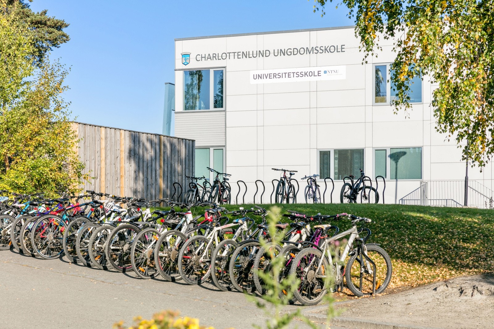 Boligen sogner til Charlottenlund barneskole og Charlottenlund ungdomsskole, som begge ligger innen trygg avstand. Galleribilde
