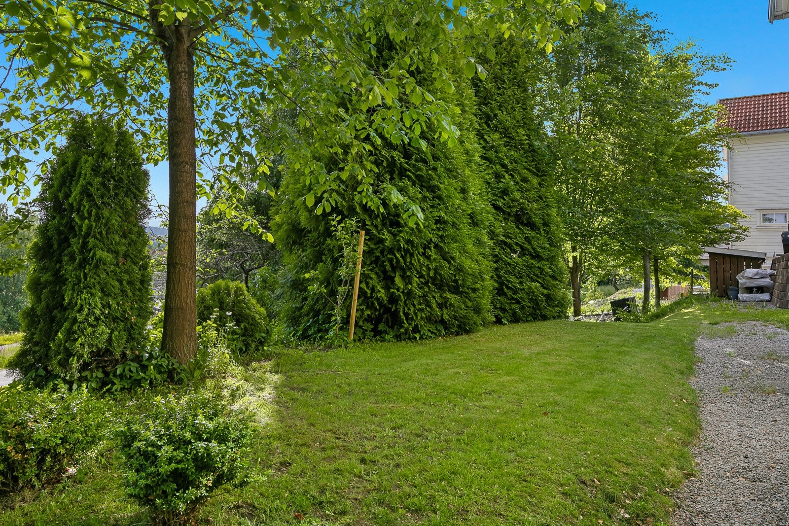 Plenområder Galleribilde