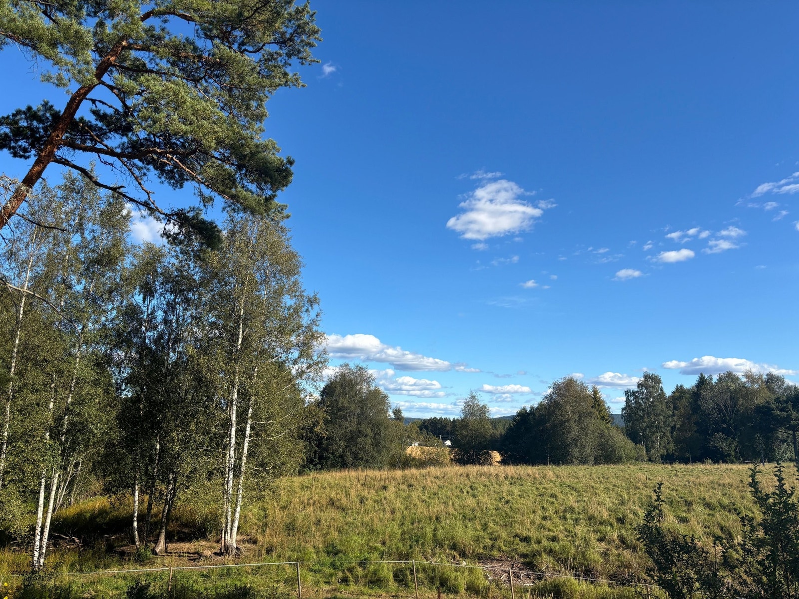 Utsikten fra spisebordet. Galleribilde