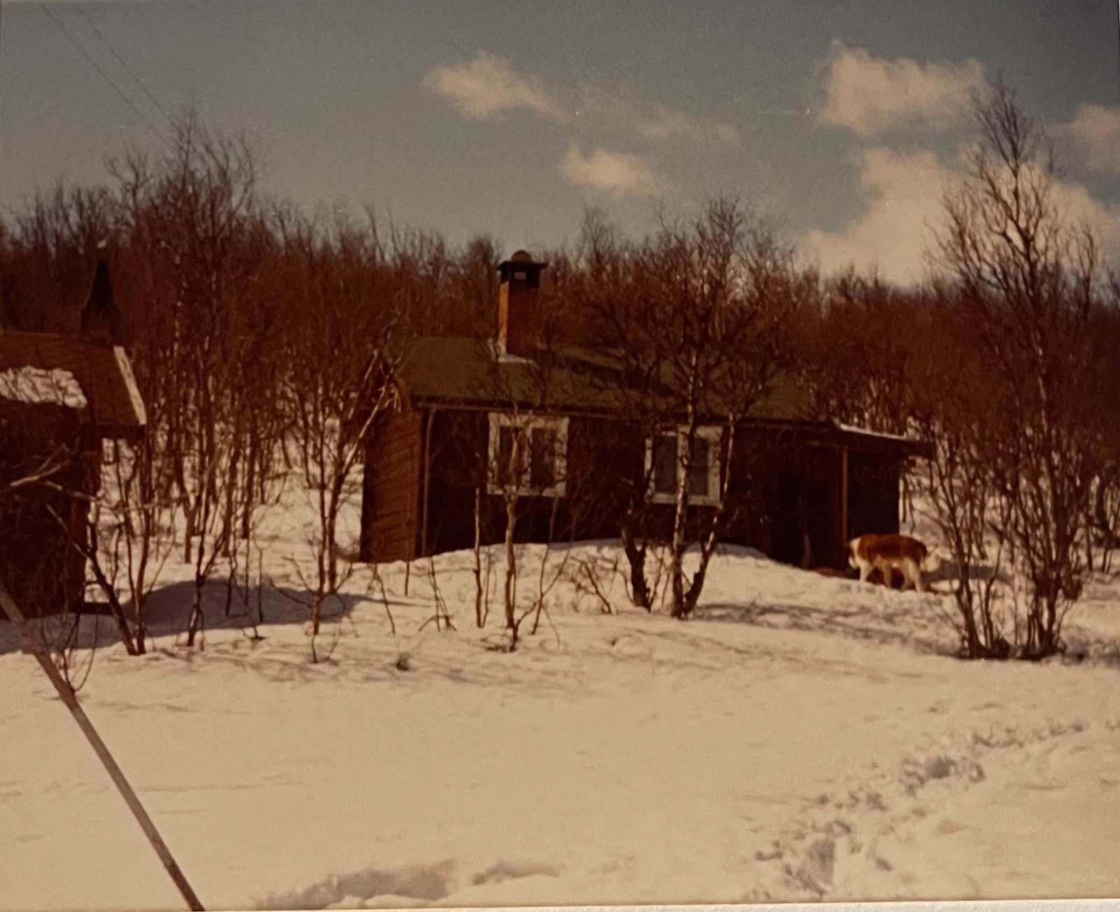 Original hytte kjøpt i 1982 Galleribilde