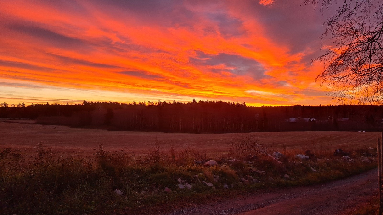 Bilde av en nydelig soloppgang, tatt av selger. Galleribilde