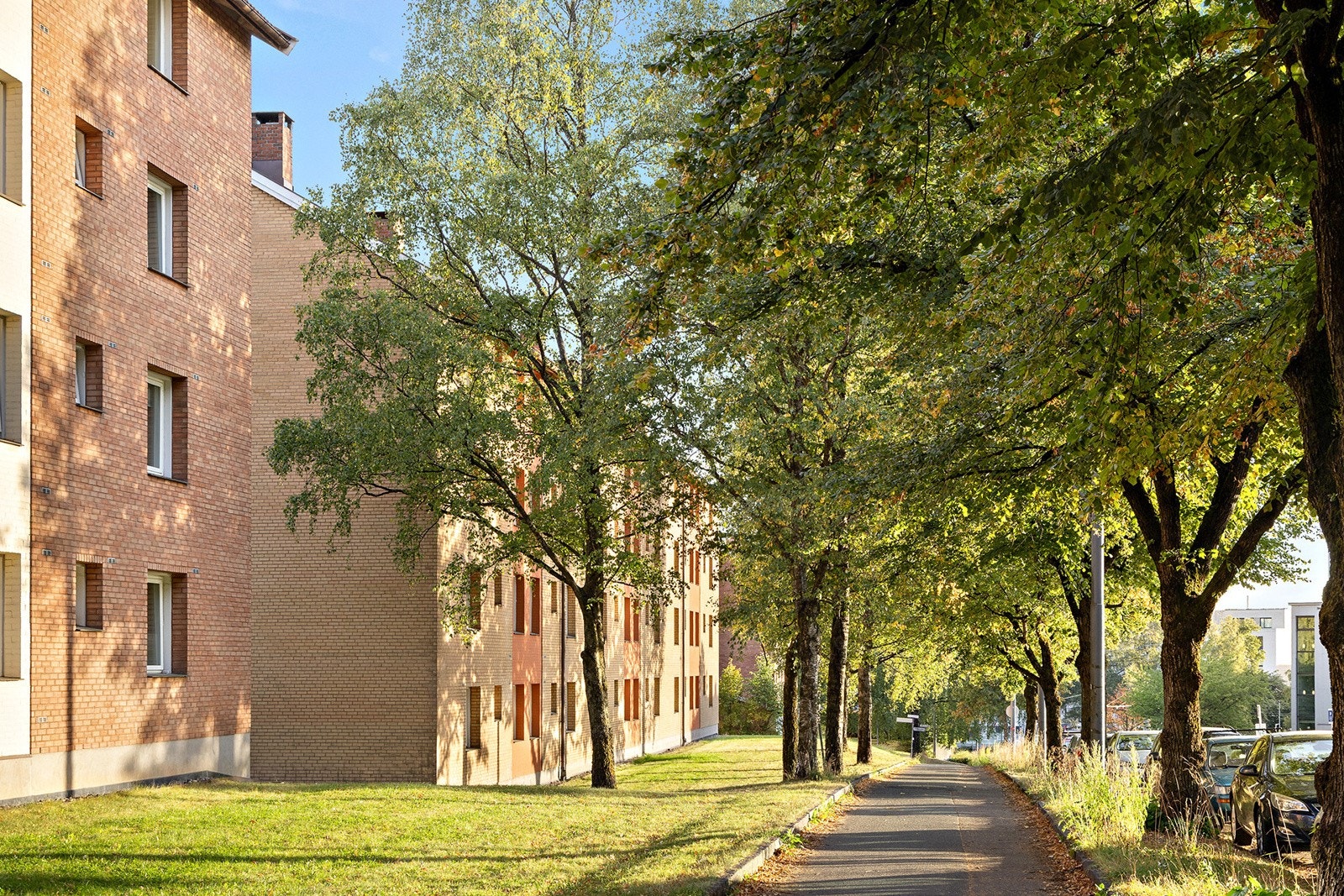 Rolige og velholdte fellesområder. Galleribilde