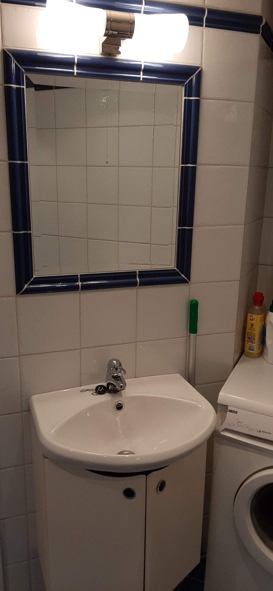 Servant med speil Galleribilde