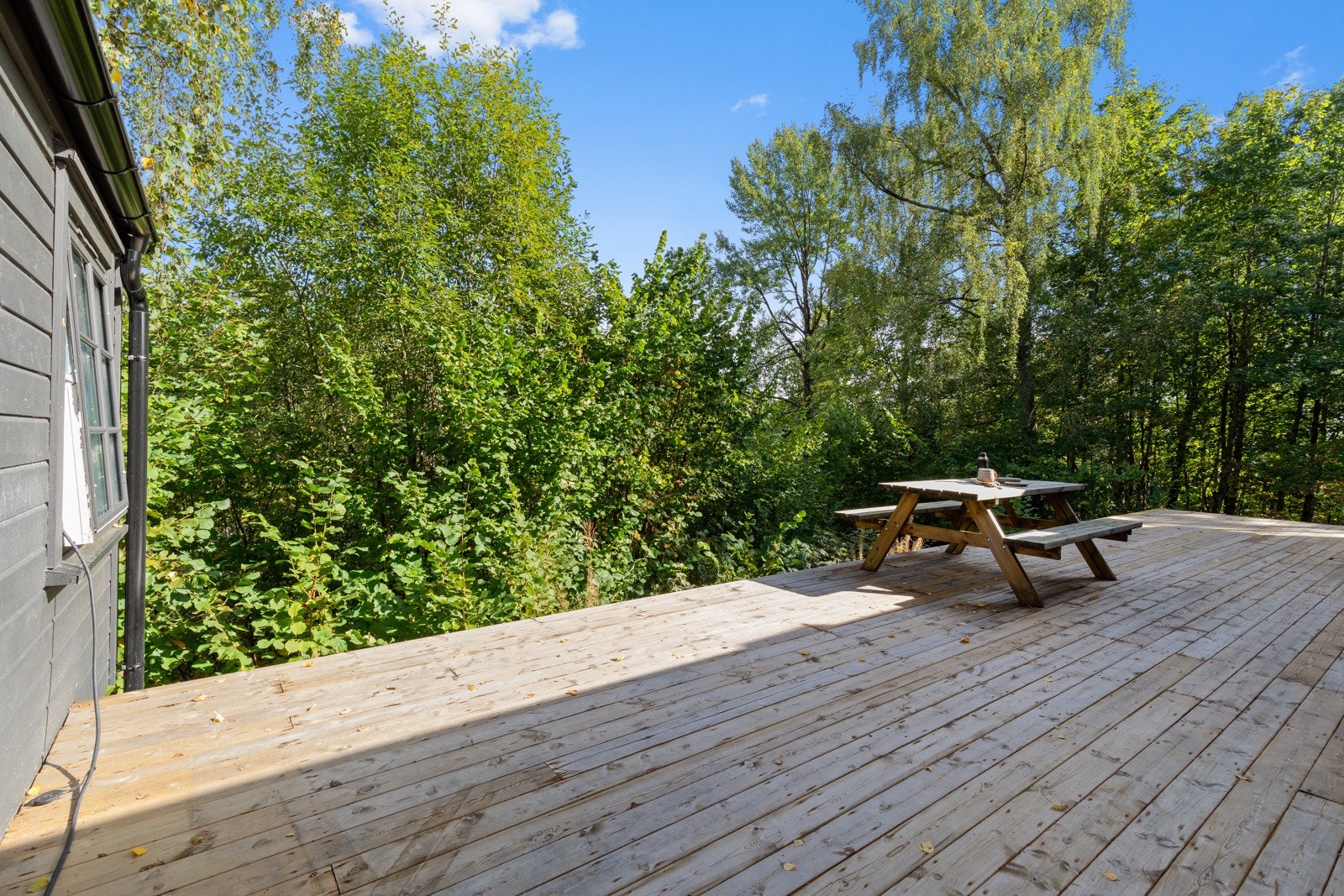 Hytten ligger pent og skjermet, med frodig grønn natur på alle kanter. Galleribilde