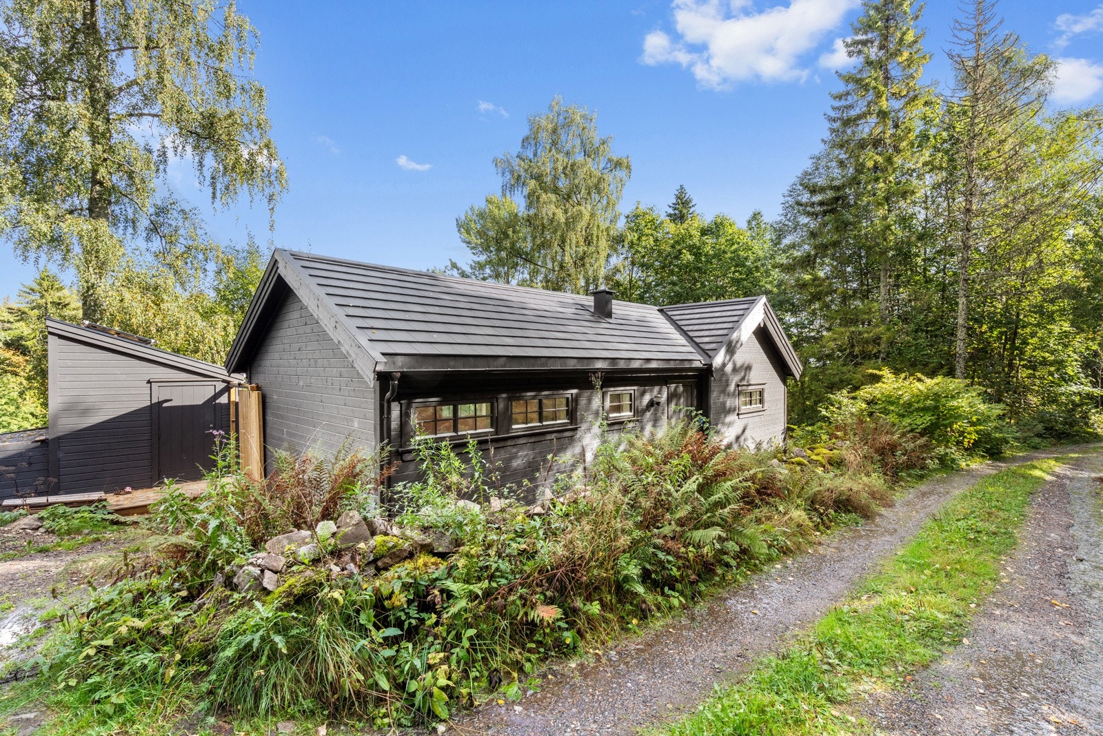 Det er mulighet til å kjøre hele veien inn til hytta. Galleribilde