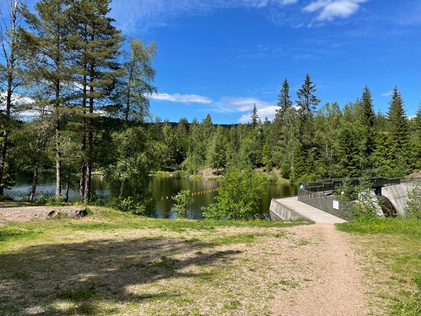 Hvalsdammen. Galleribilde