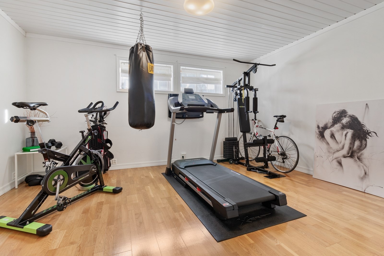 Treningsrom i kjelleren - perfekt for hjemmetrening. Galleribilde