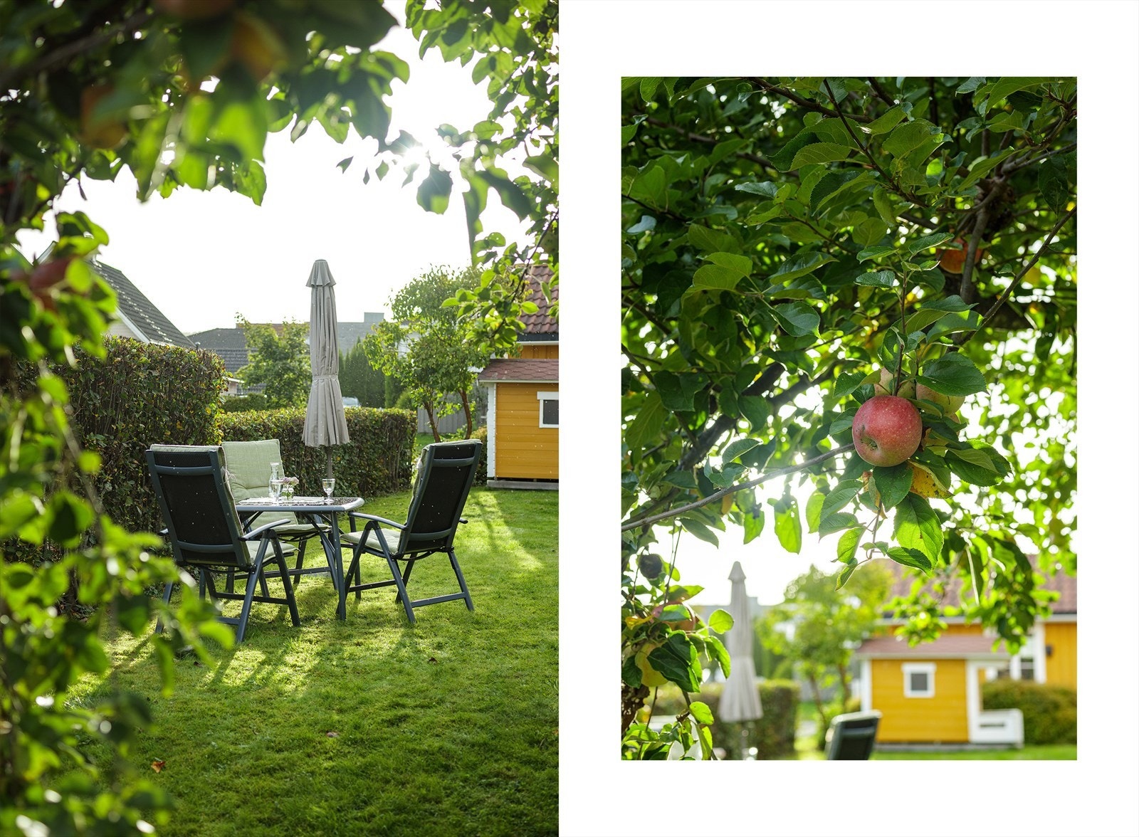 Koselig hage med frukttrær og plass til utemøbler. Galleribilde