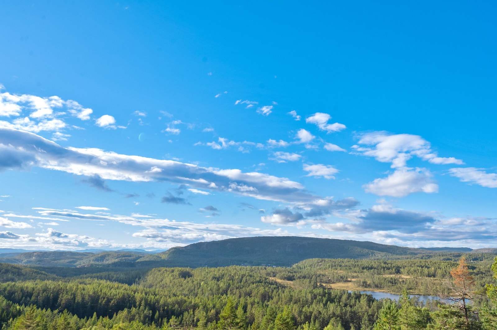 Hytta ligger høyt, fritt og privat. Galleribilde