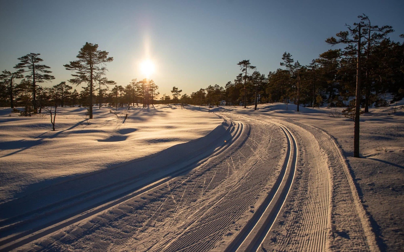 Fra hyttedøra har du kort vei til milevis med turstier og skiløyper, med preparerte skiløyper i nærområdet og oppkjørte forbindelser helt over til Vegårshei. Galleribilde