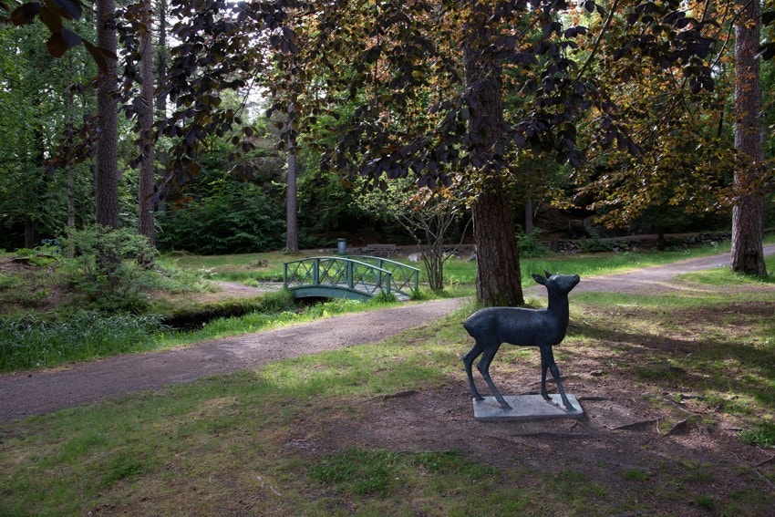 Nyt arkitektur, kunst og nydelig utsikt over byen Galleribilde