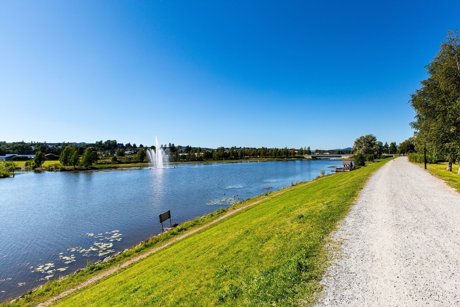 Flotte turområder med bl.a flomvollen lamg Nitelva Galleribilde
