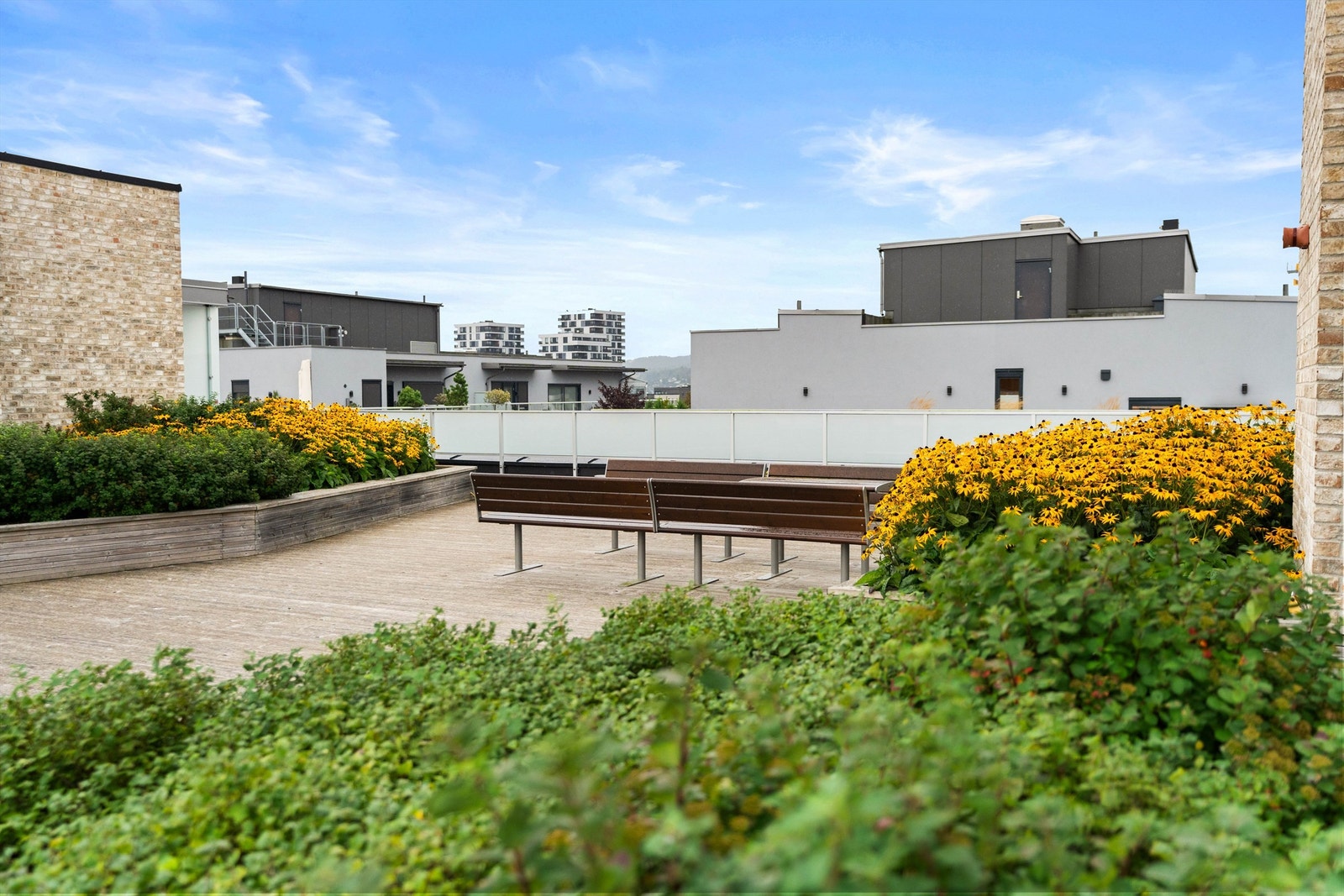 Gratis bruk av felles takterrasse. Takterrassen er kun en trapp opp, eller med heis fra leiligheten Galleribilde