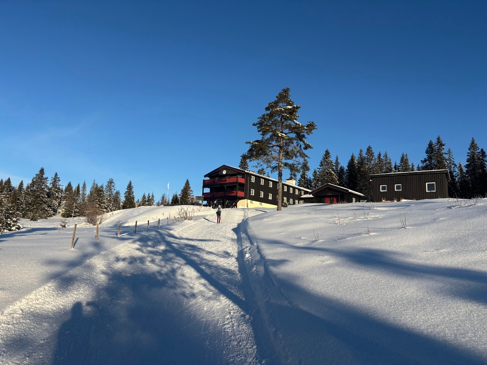 Ski og Turløyper i nærområdet Galleribilde