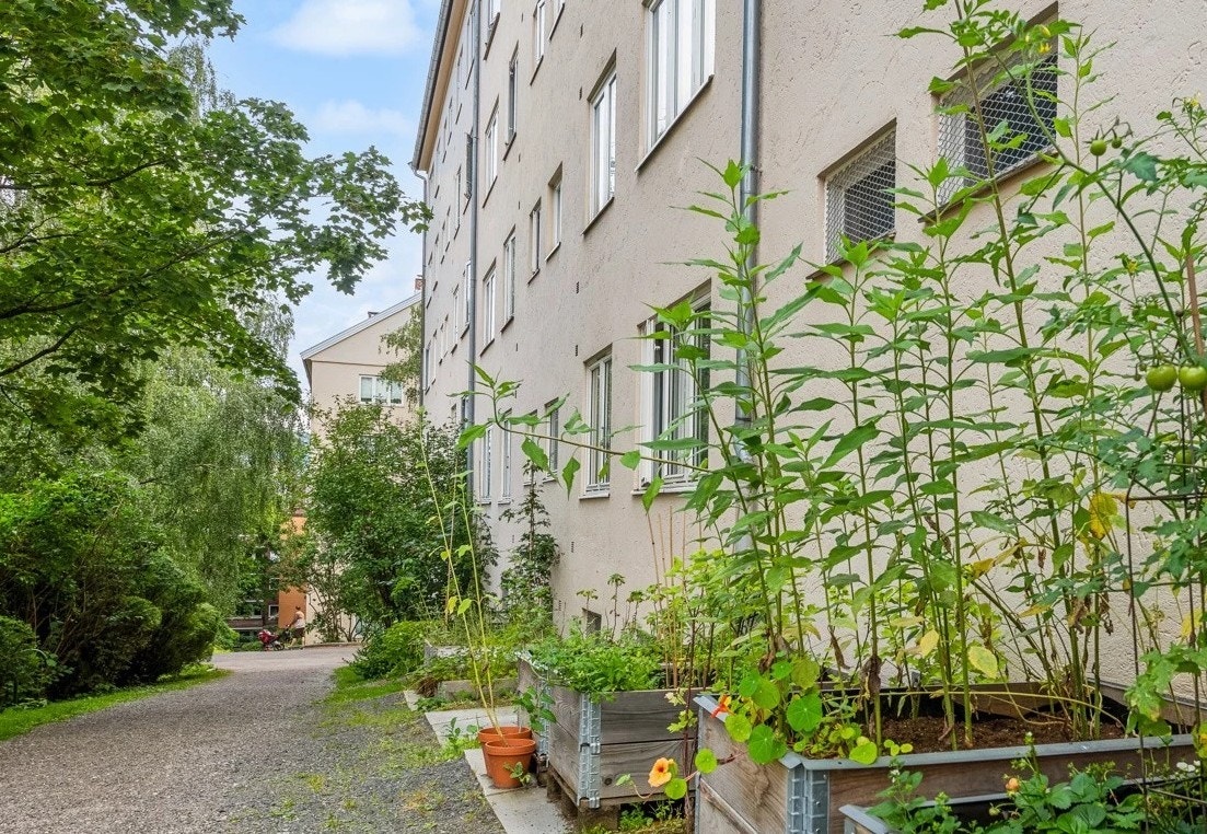 Her kan du trene opp dine grønne fingre med egen designert sone for din egen blomsterkasse Galleribilde