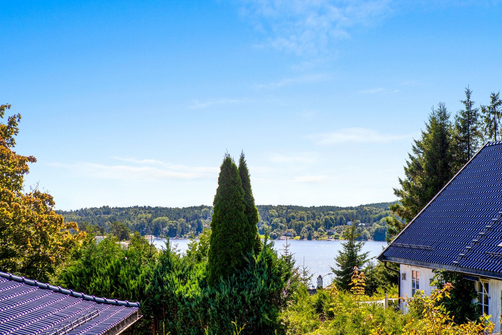 Nydelig utsikt. Galleribilde