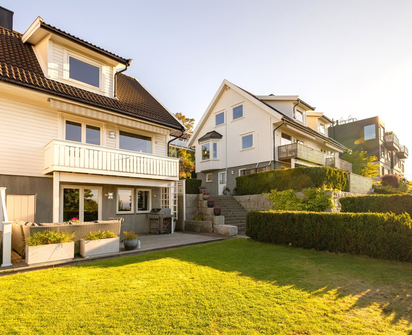 Grønn og idyllisk hage med gressplen og trimmet tujahekk Galleribilde