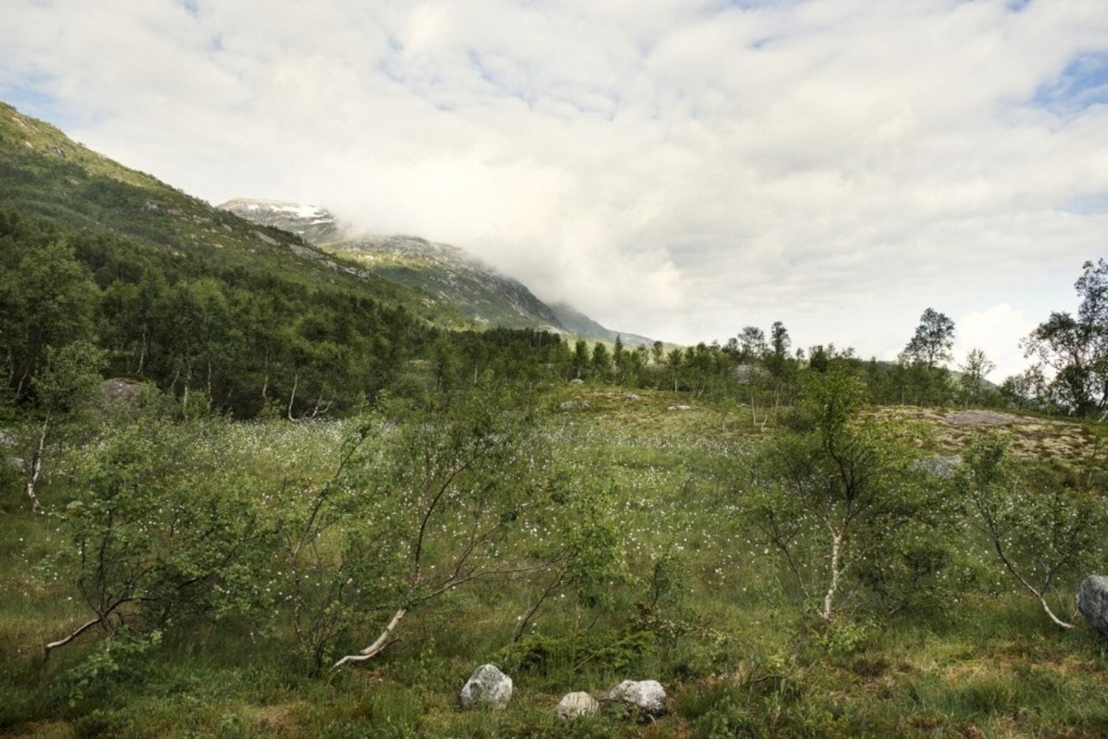 Foto fra tomteområdet - nydelig landskap Galleribilde