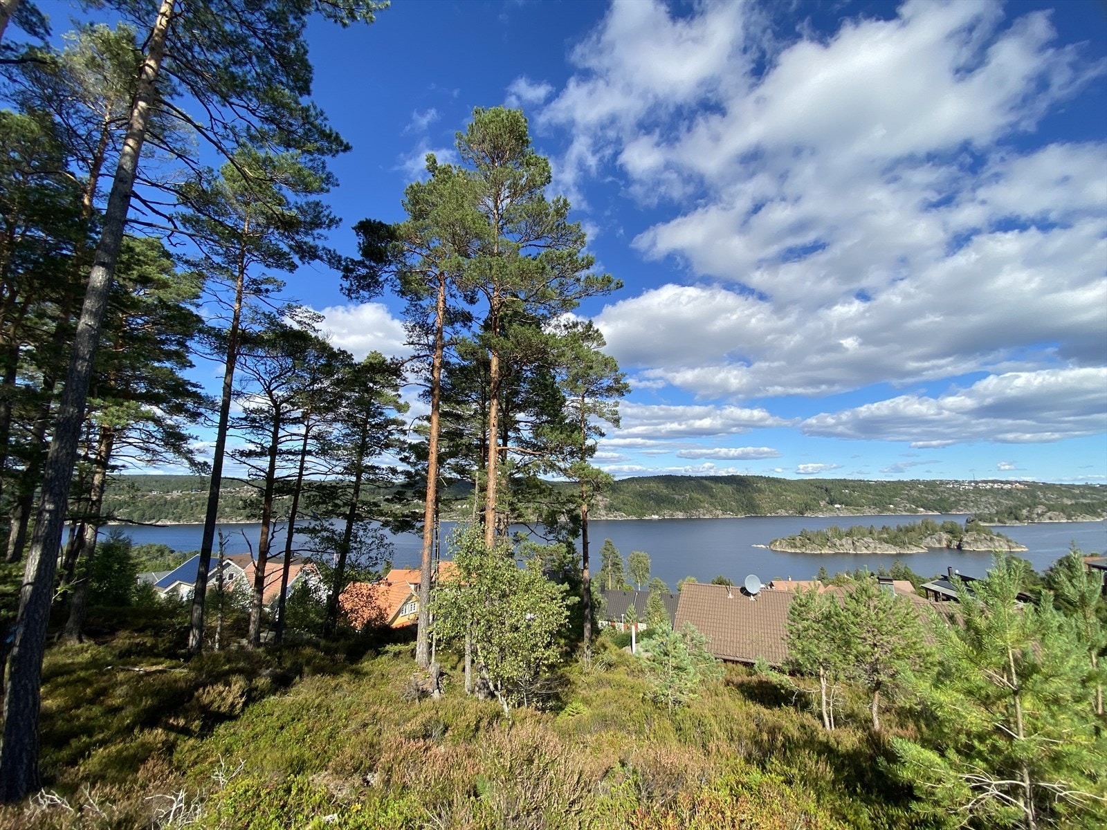 Bilde fra tomt B24 Galleribilde