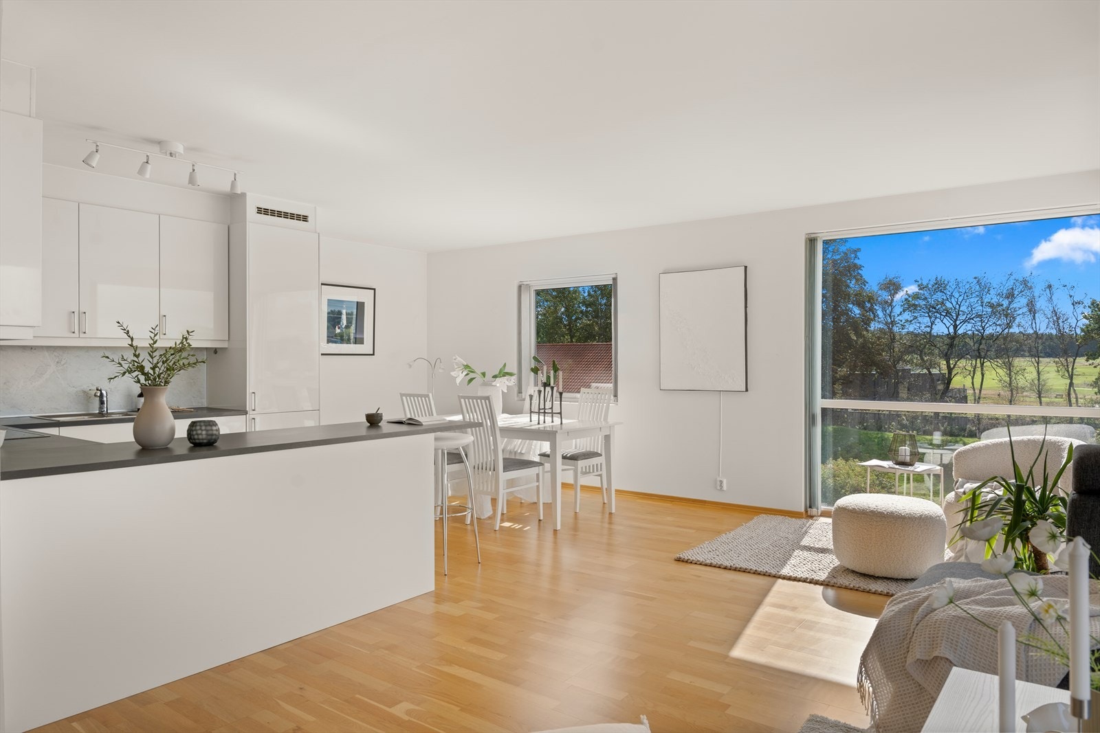 Stue med åpen kjøkkenløsning. Galleribilde