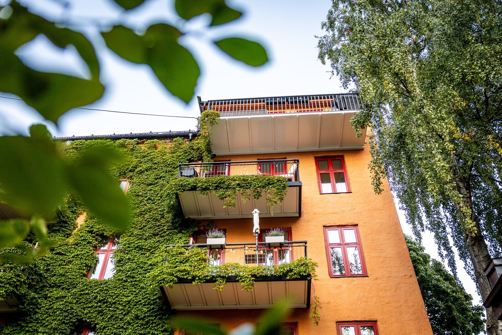 Bakgård. Galleribilde
