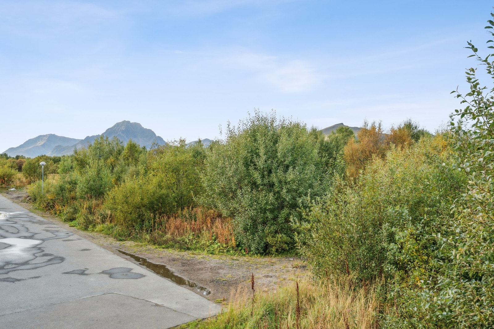 Flott utsikt mot majestetiske Lofotfjell. Galleribilde