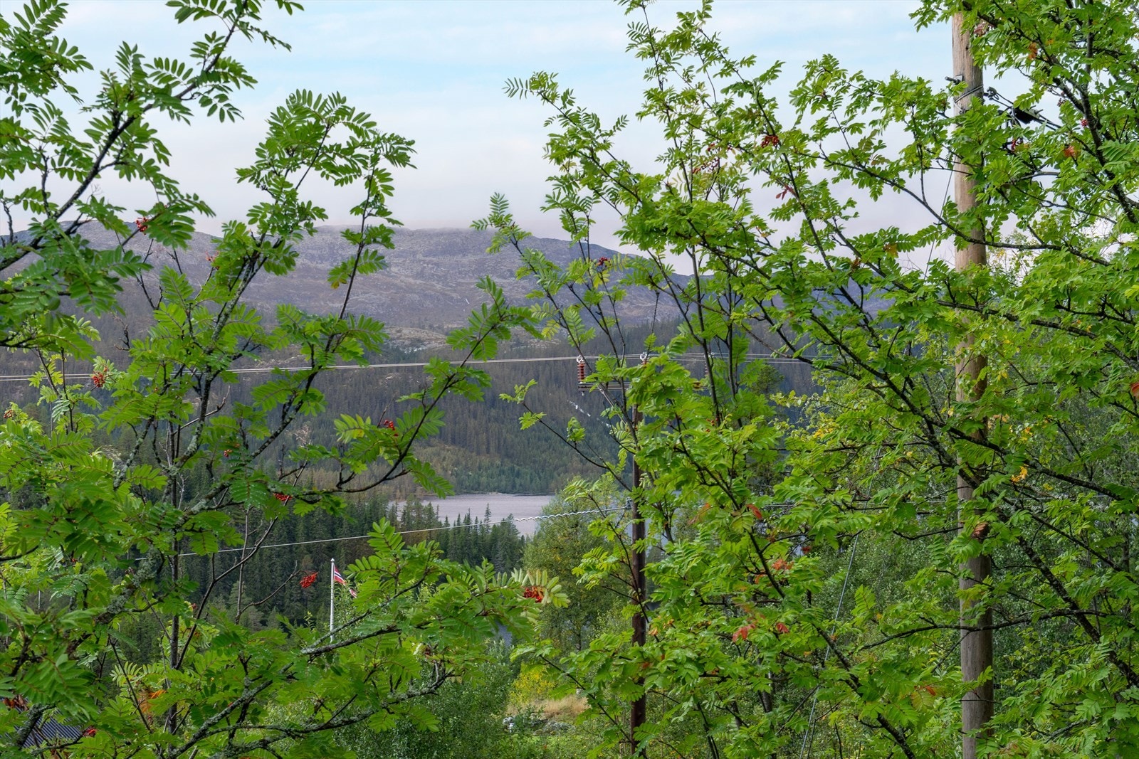 Hytta ligger fint til i rolige omgivelser og har fantastiske turområder i umiddelbar nærhet. Galleribilde
