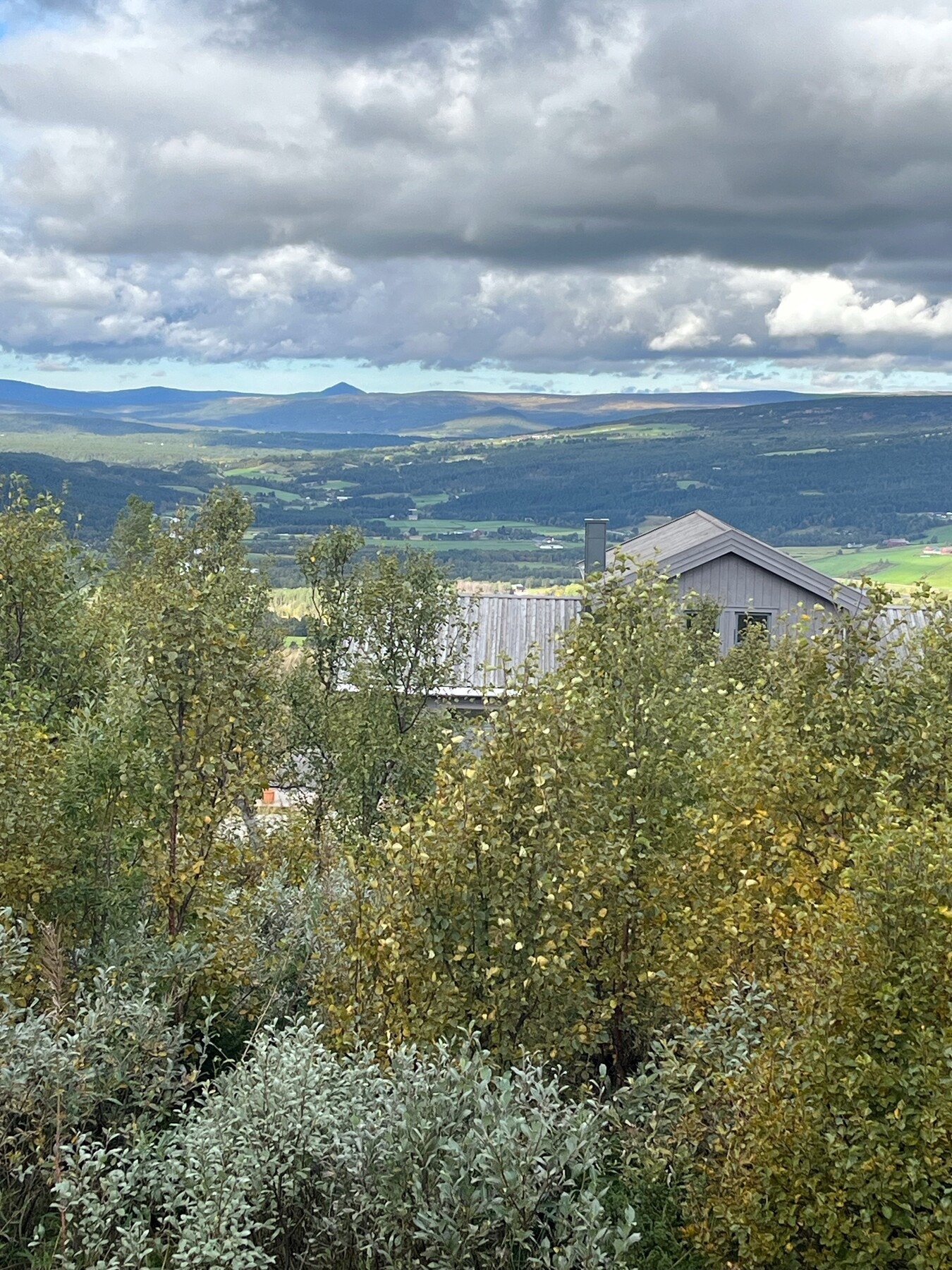 Selgers eget bilde viser den flotte utsikten mot Forollhogna. Galleribilde