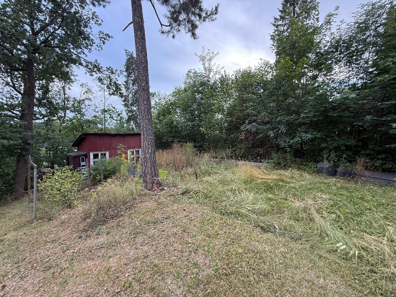 Plass til å dyrke egne grønnsaker Galleribilde