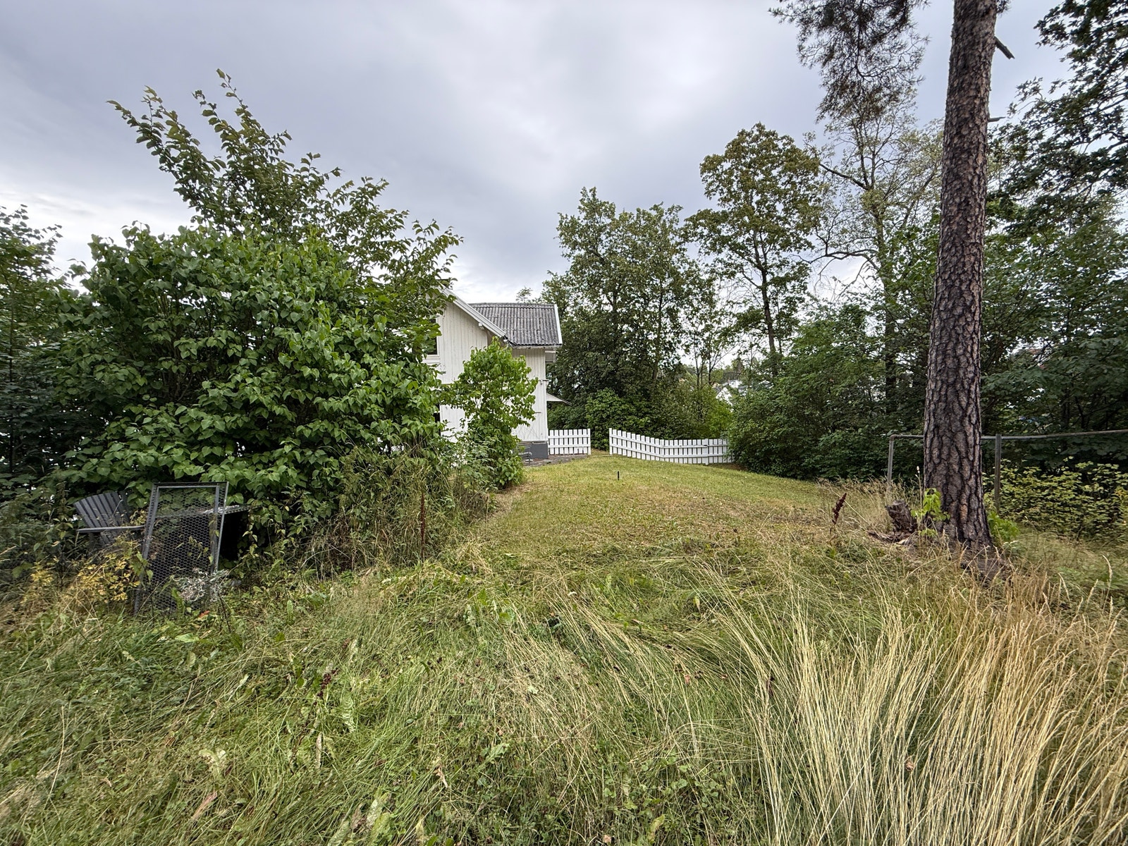 Mye privat grønt ved huset Galleribilde