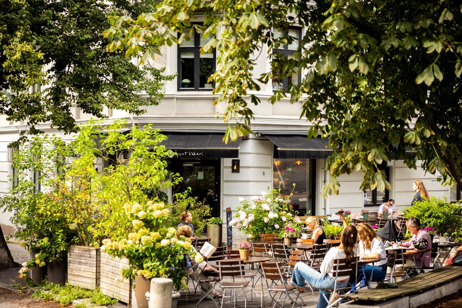 - Nærområdet - Galleribilde