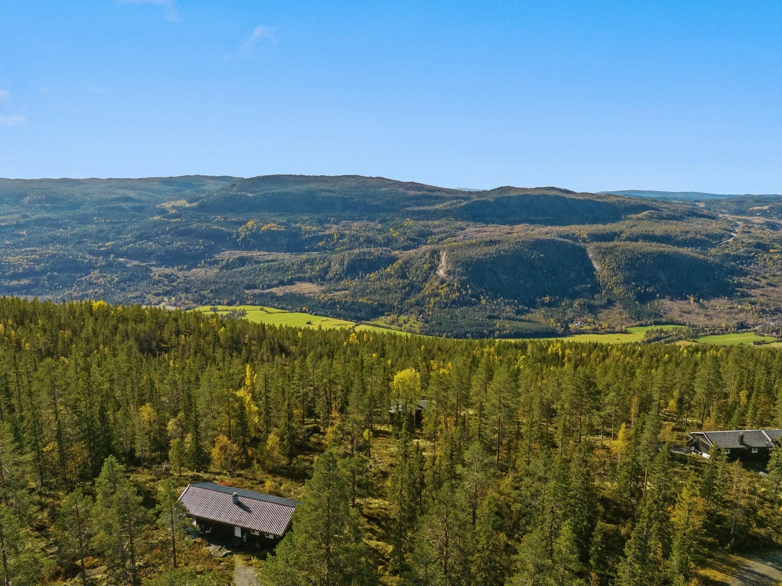Oppkjørte skiløyper i umiddelbar nærhet. Galleribilde