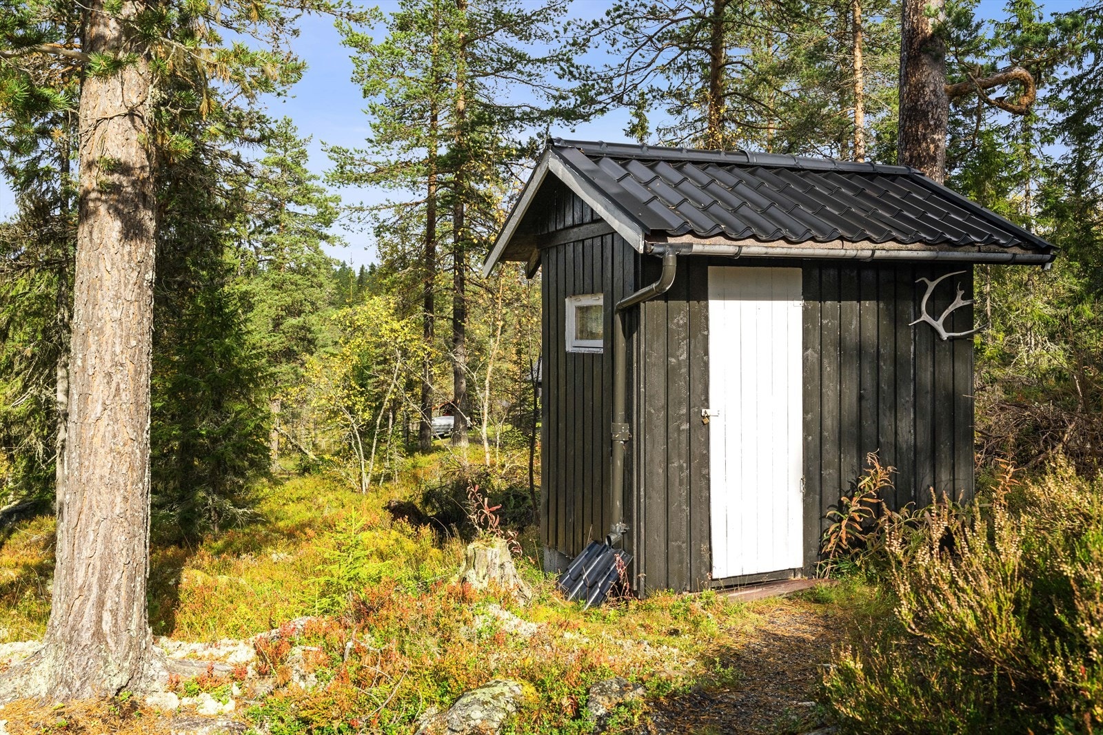 Uthus med dorom og bod. Galleribilde