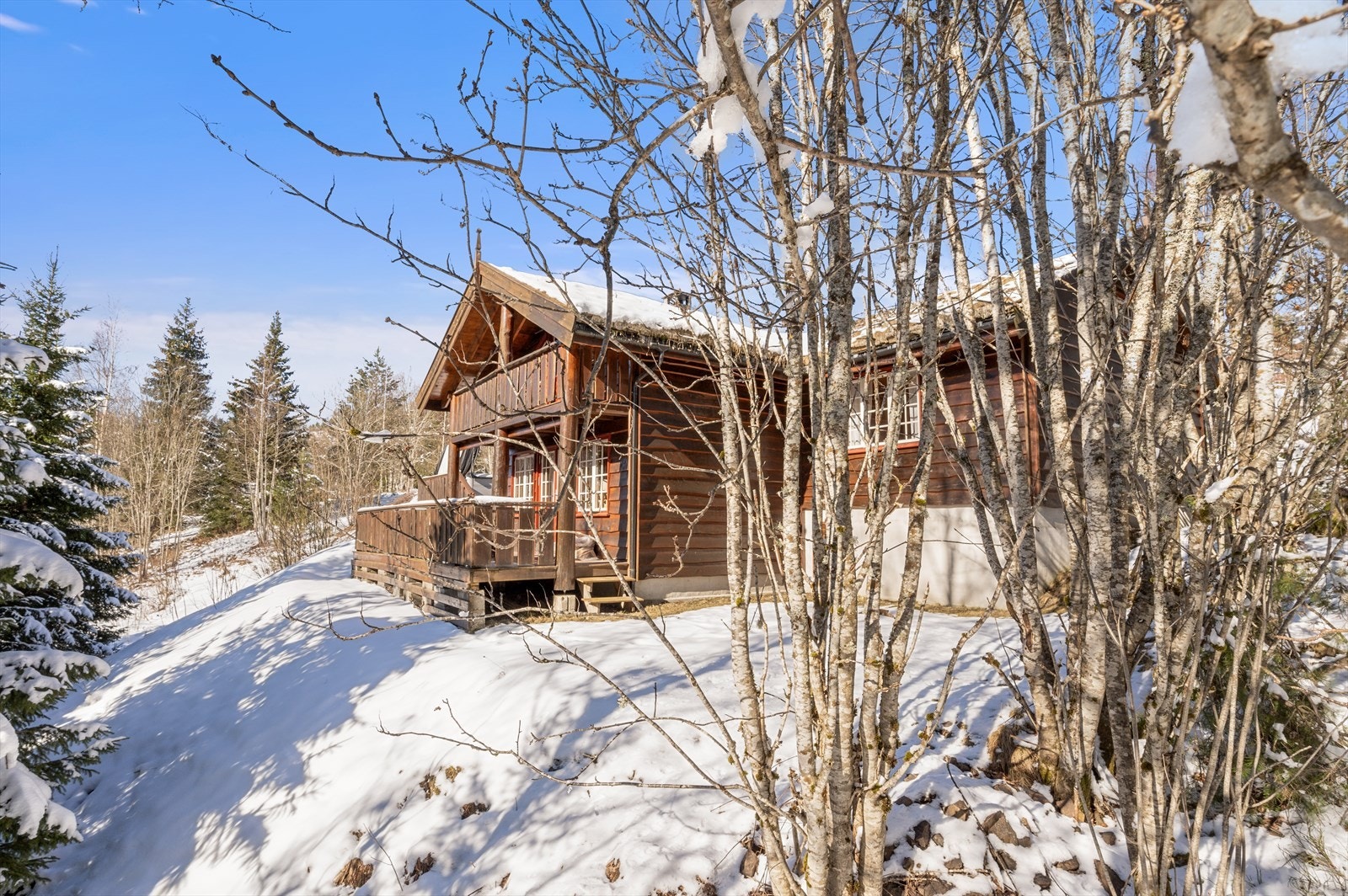 Romslig tomt med fine uteplasser og beplantning. Galleribilde