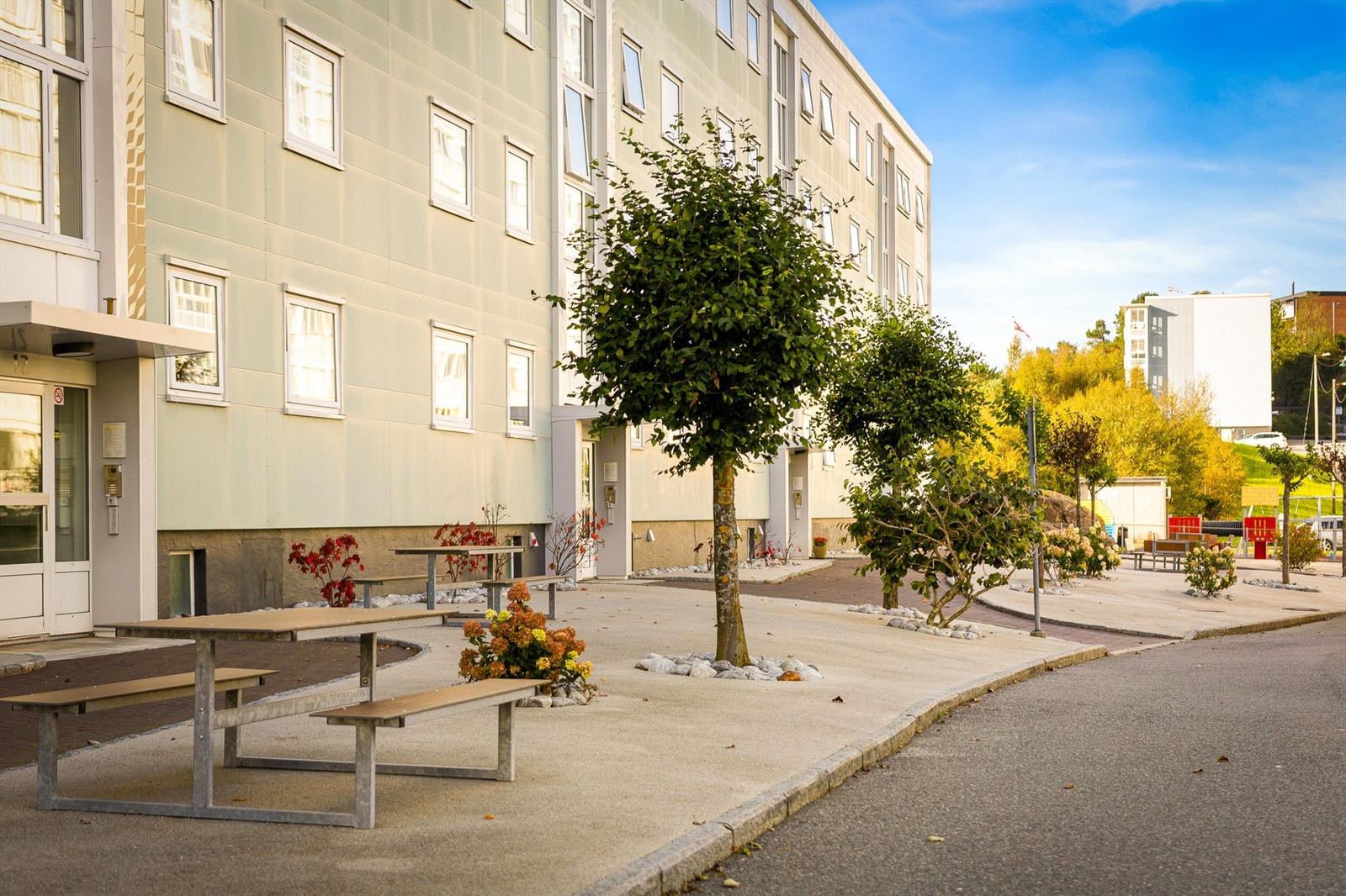 Nærområde Galleribilde