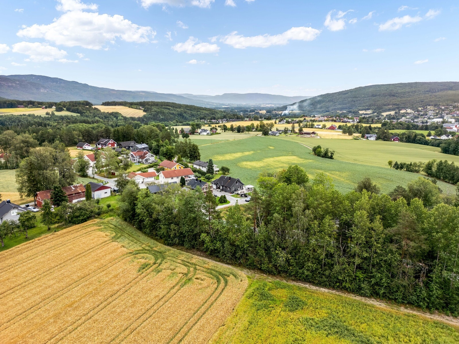 Frida Henriksveen presenterer tomt på Langkåshaugen i Bø, gnr. 43 bnr. 40/63! Galleribilde