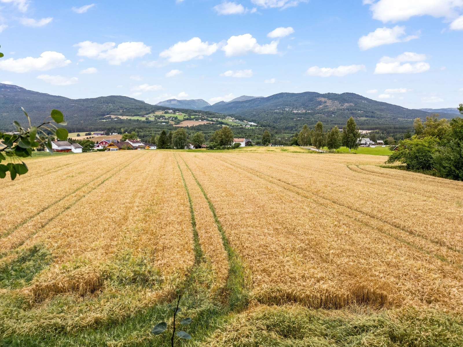Ubebygd tomt på Langkåshaugen med flott utsikt mot Bø sentrum og Lifjell. Galleribilde