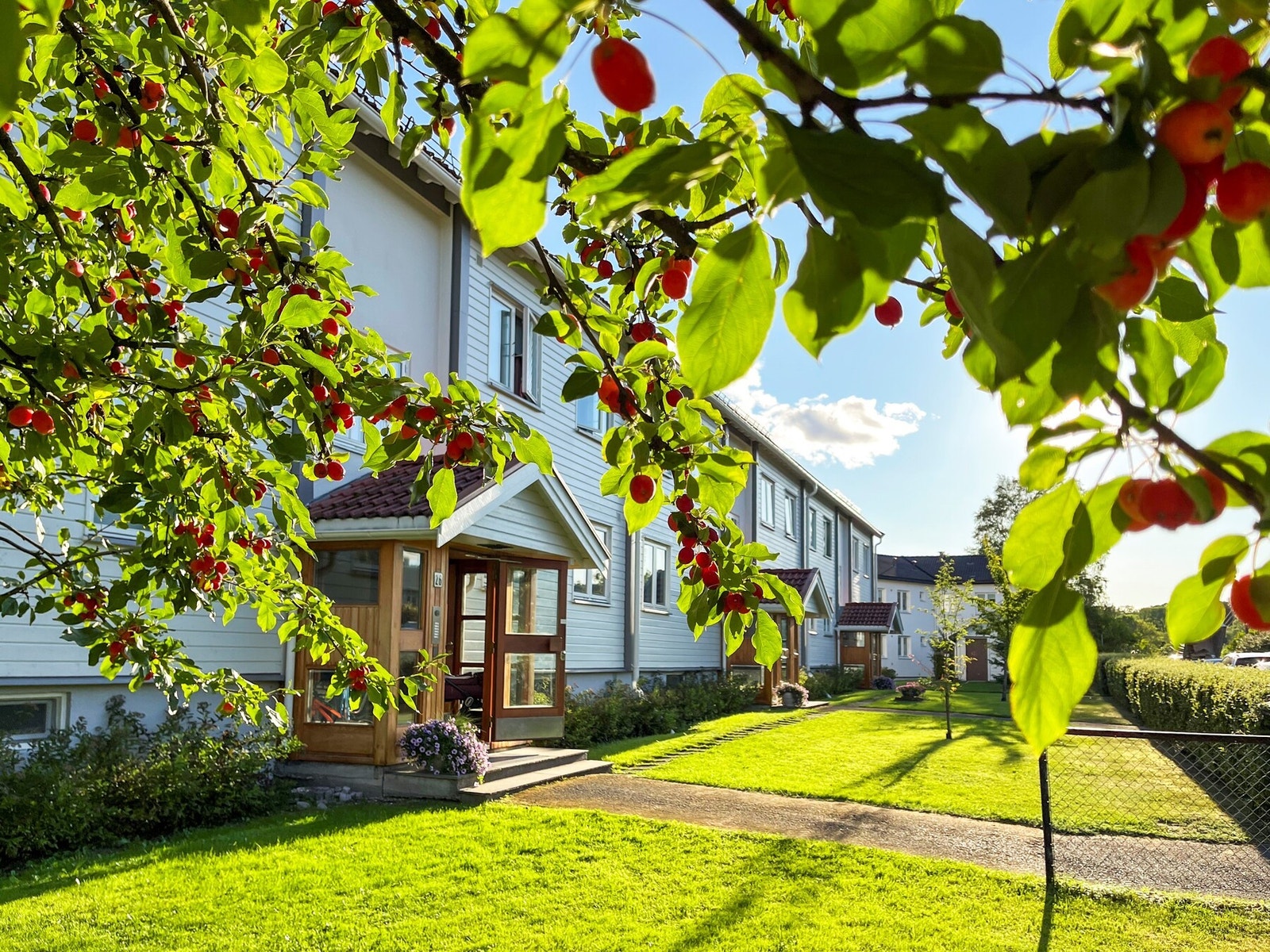 Borettslaget omkranses av en nydelig felleshage med frukttrær. Galleribilde