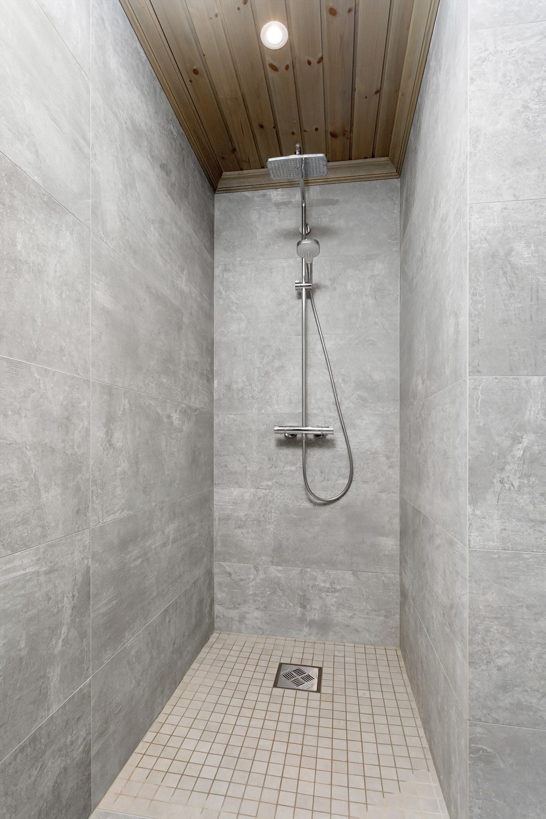 Lekker dusjnisje med regn- og hånddusj. Galleribilde